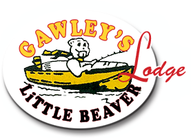 Gawleys Little Beaver Logo